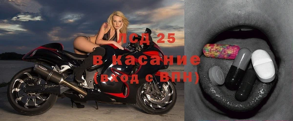 шишки Нязепетровск