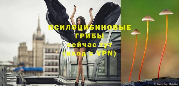 шишки Нязепетровск