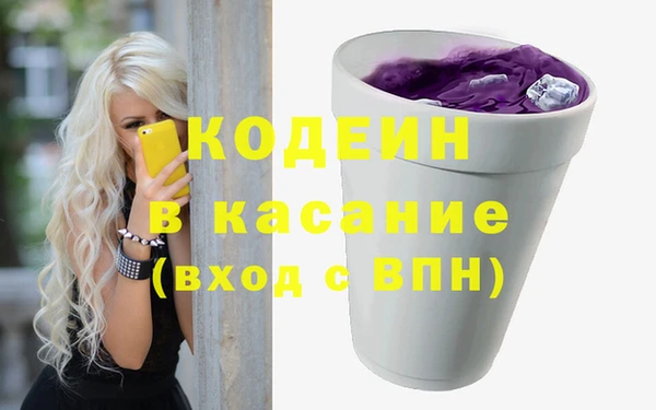 шишки Нязепетровск