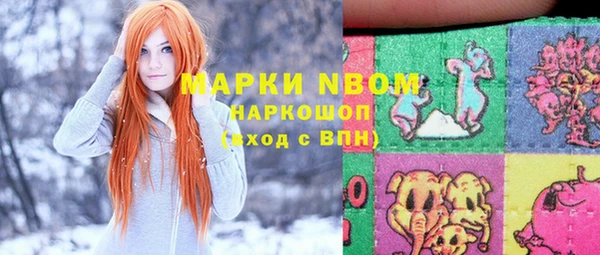 шишки Нязепетровск