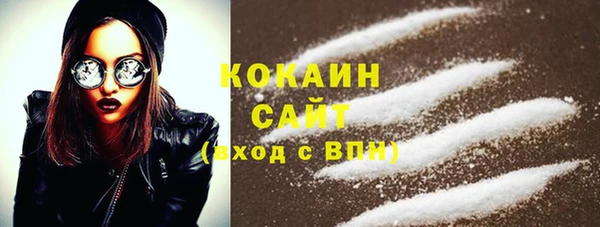 шишки Нязепетровск