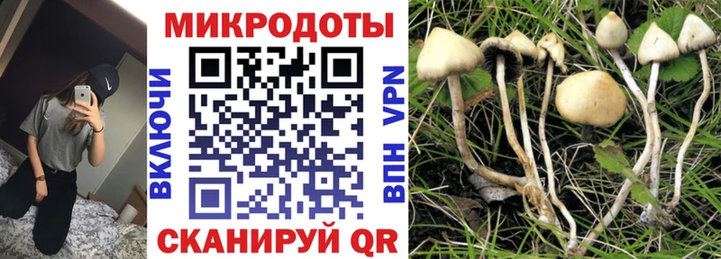 как найти закладки  Калязин  Галлюциногенные грибы Psilocybe 